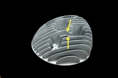 DKW Head 1